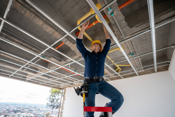 Best Plumbing Services Near Me  in Wickliffe, OH